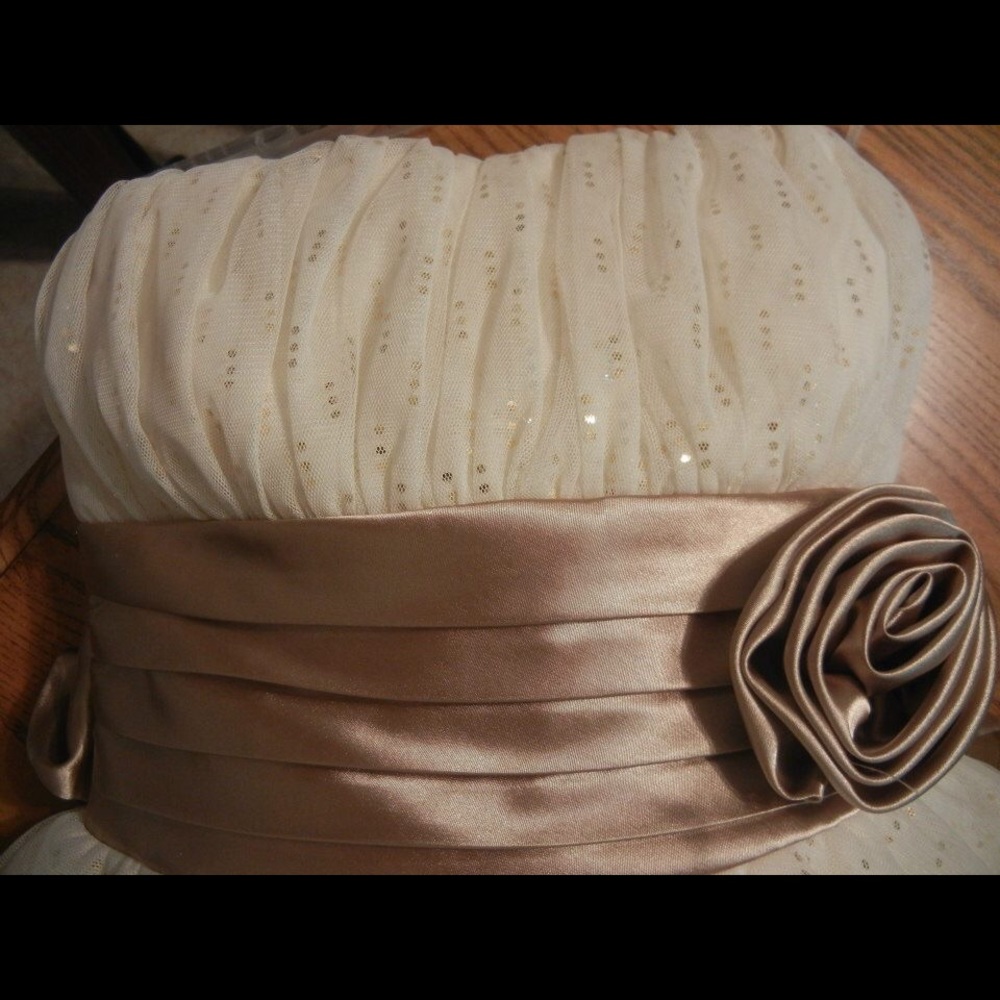 Ivory/Gold Cocktail Dress